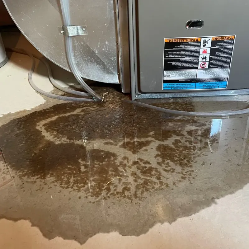 Pipe Burst and Leak Restoration in Roane County, TN