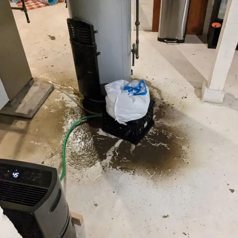 Sewage Backup Cleanup Service in Roane County, TN